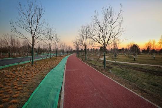 clip_image004.jpg 67bdf366bc6af3b932493142b77aac0